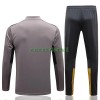 BVB Borussia Dortmund Ensemble Sweat d'Entraînement Quarter-Zip 22-23 Gris Clair Pour Homme